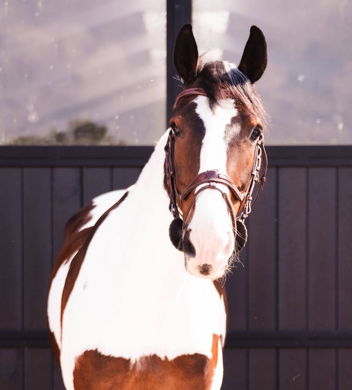Fyra